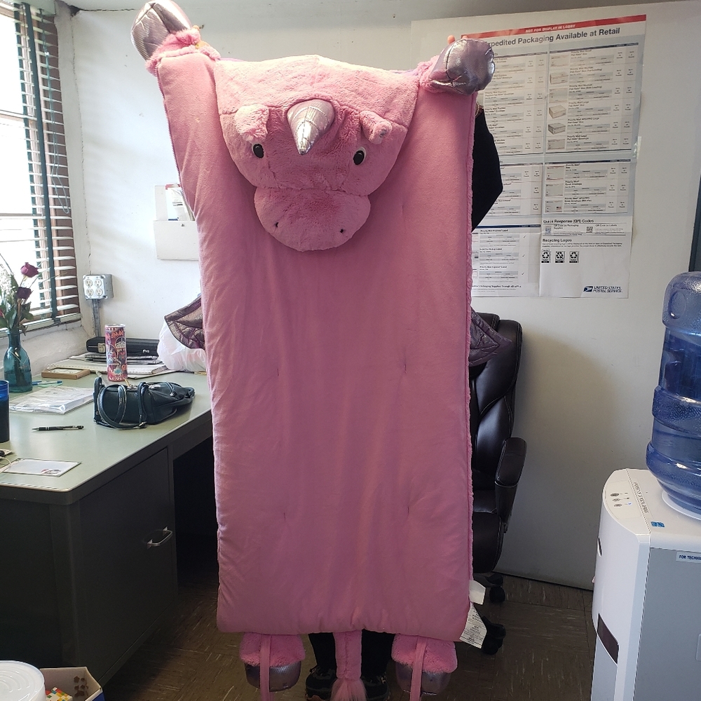 Member's Mark, Kids' Plush Overnight Slumber Sleeping Bag